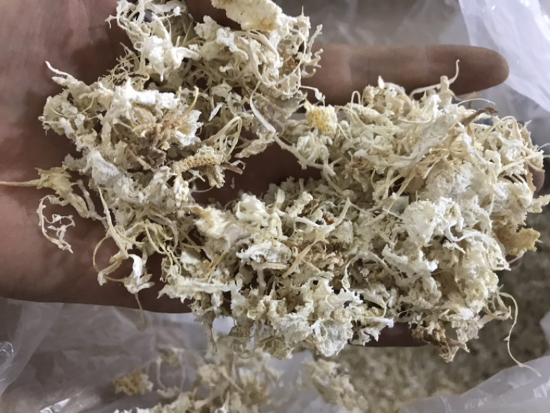 橘络橘丝橘子丝保庆药业批发橘络实物拍摄！