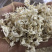 橘络橘丝橘子丝保庆药业批发橘络实物拍摄！