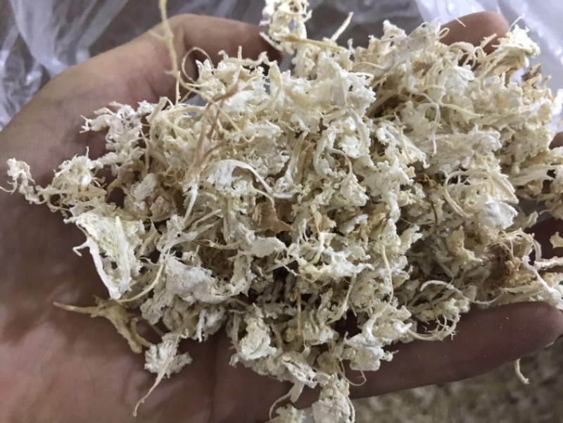 橘络橘丝橘子丝保庆药业批发橘络实物拍摄！