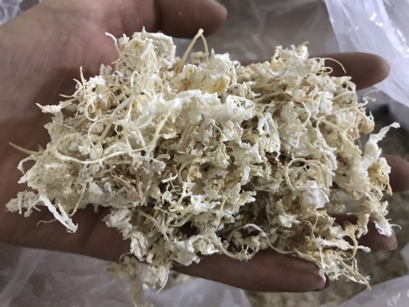 橘络橘丝橘子丝保庆药业批发橘络实物拍摄！