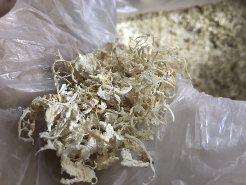 橘络橘丝橘子丝保庆药业批发橘络实物拍摄！
