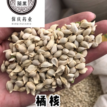 橘核橘子籽桔籽桔核保庆药业批发橘核实物拍摄！