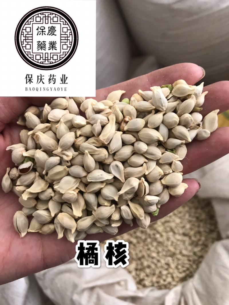 橘核橘子籽桔籽桔核保庆药业批发橘核实物拍摄！