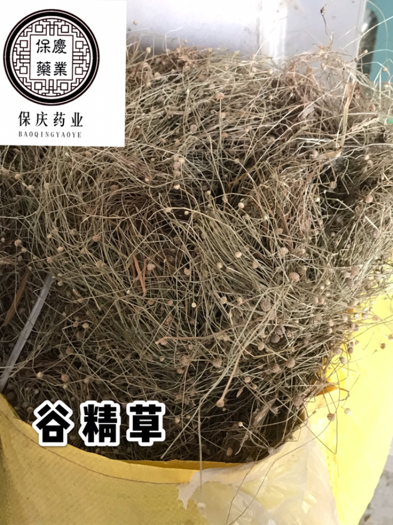 谷精草保庆药业批发谷精草实物拍摄！！