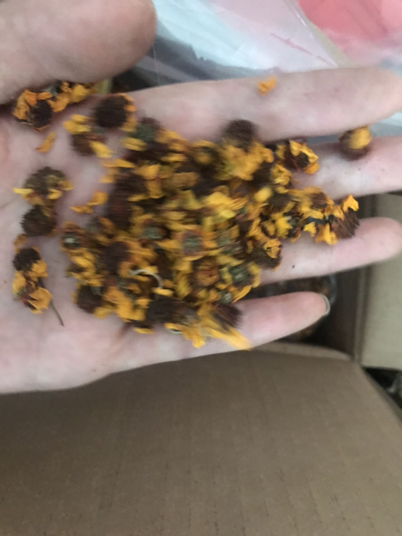 雪菊昆山雪菊实物拍摄！发货如图！保庆药业批发雪菊
