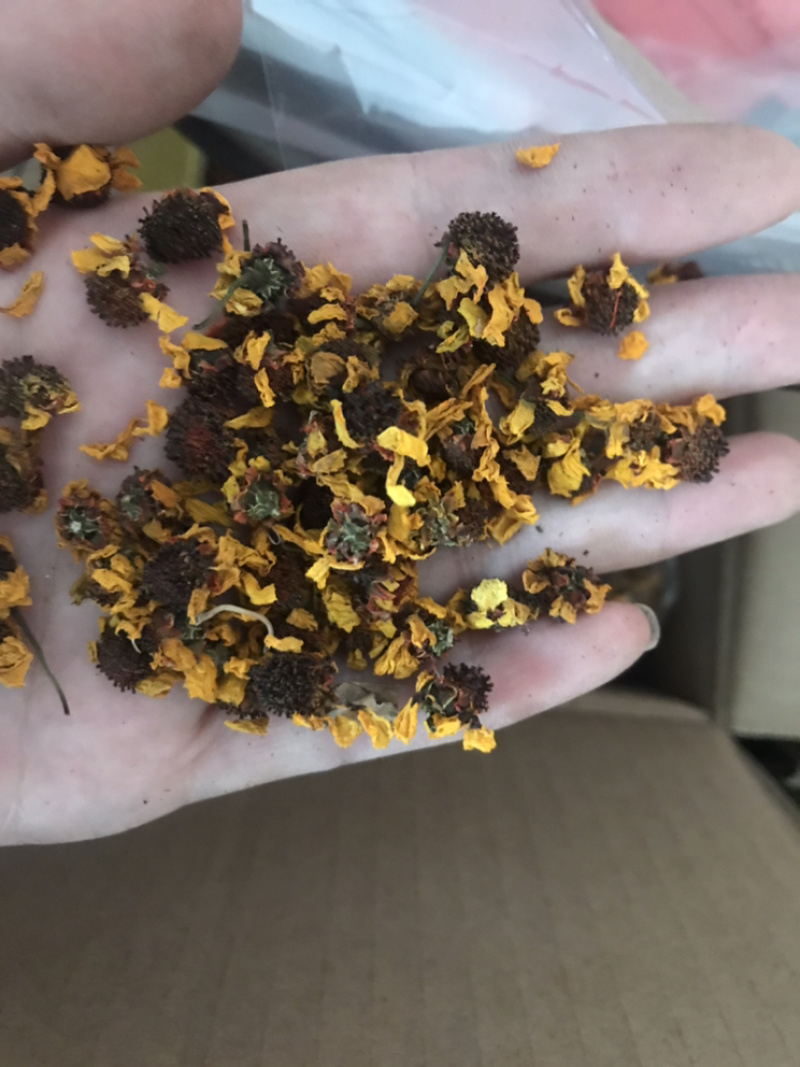 雪菊昆山雪菊实物拍摄！发货如图！保庆药业批发雪菊