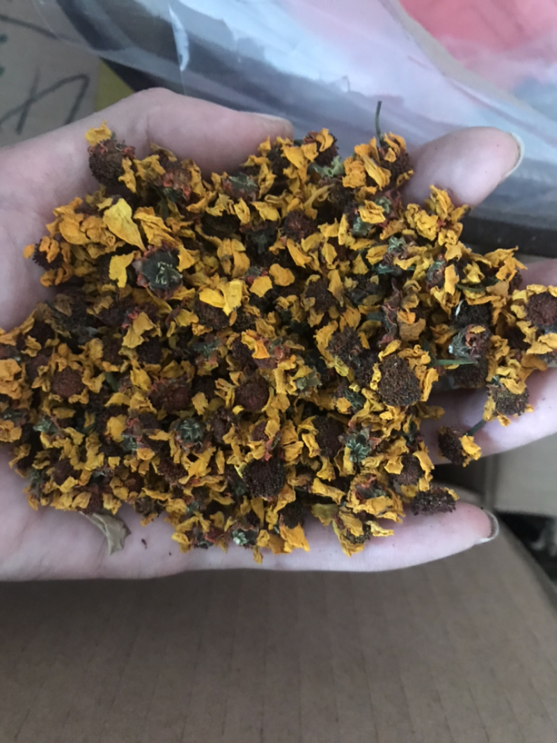 雪菊昆山雪菊实物拍摄！发货如图！保庆药业批发雪菊