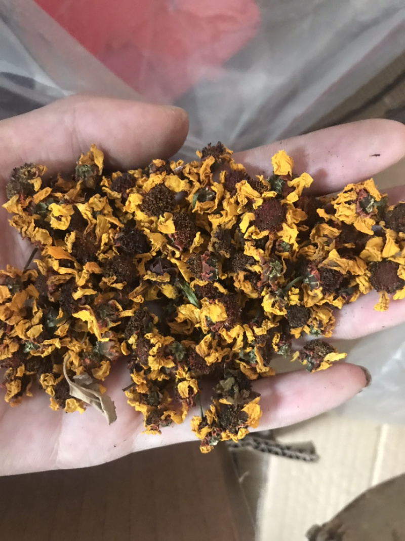 雪菊昆山雪菊实物拍摄！发货如图！保庆药业批发雪菊