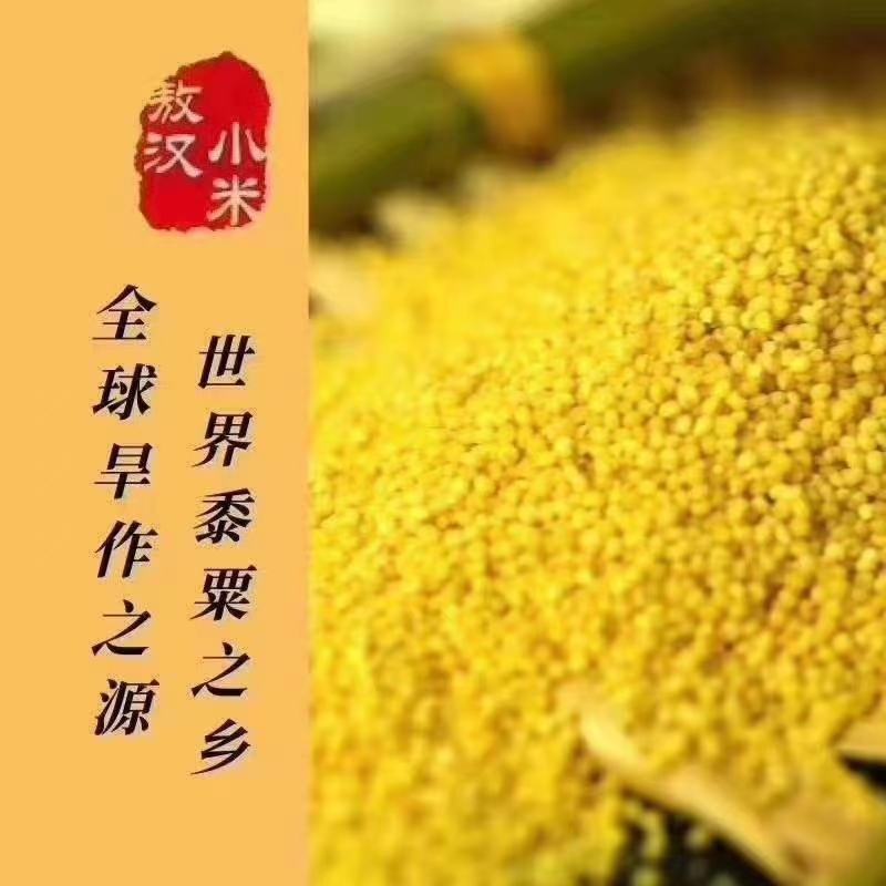 敖汉小米农户自产自销。