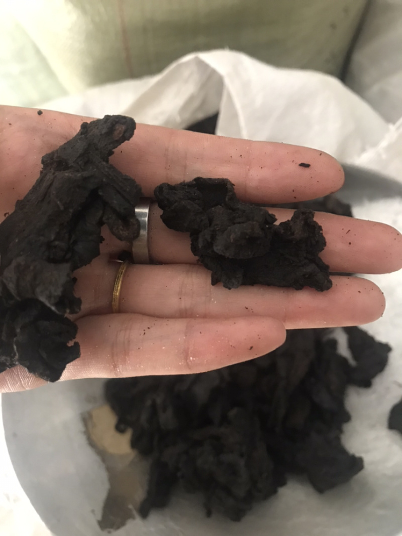 制黄精灸黄精保庆药业批发制黄精实物拍摄