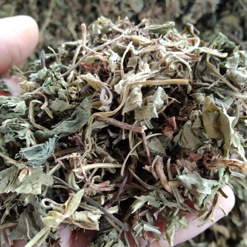 紫花地丁产地直供支持线上交易各种规格承接订单