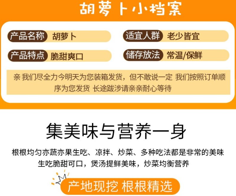 新鲜现挖沙地胡萝卜广红三红萝卜货源充足量大从优