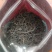 广西金秀大瑶山野生红茶明后(250g)量大可批