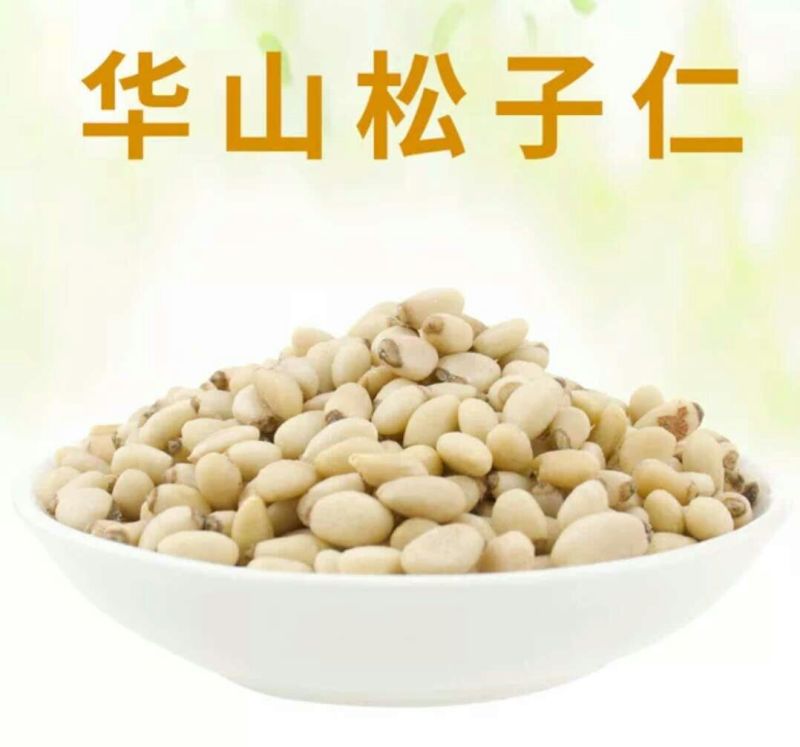 【华山松籽仁】大粒子松籽仁一手货源批发订购量大价低