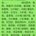 台湾凤梨释迦苗，直生苗，小袋苗，大袋苗，10斤袋，
