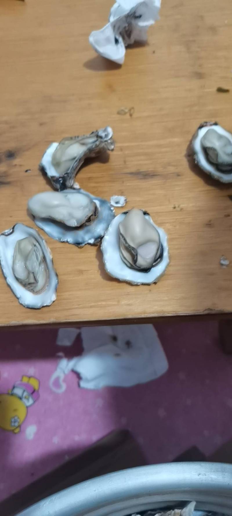 乳山生蚝各种规格半壳生蚝