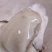乳山生蚝各种规格半壳生蚝