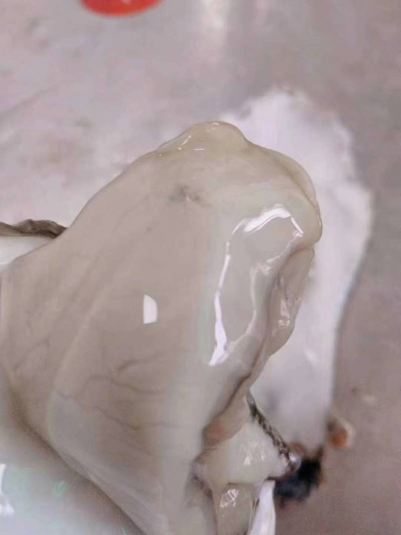 乳山生蚝各种规格半壳生蚝