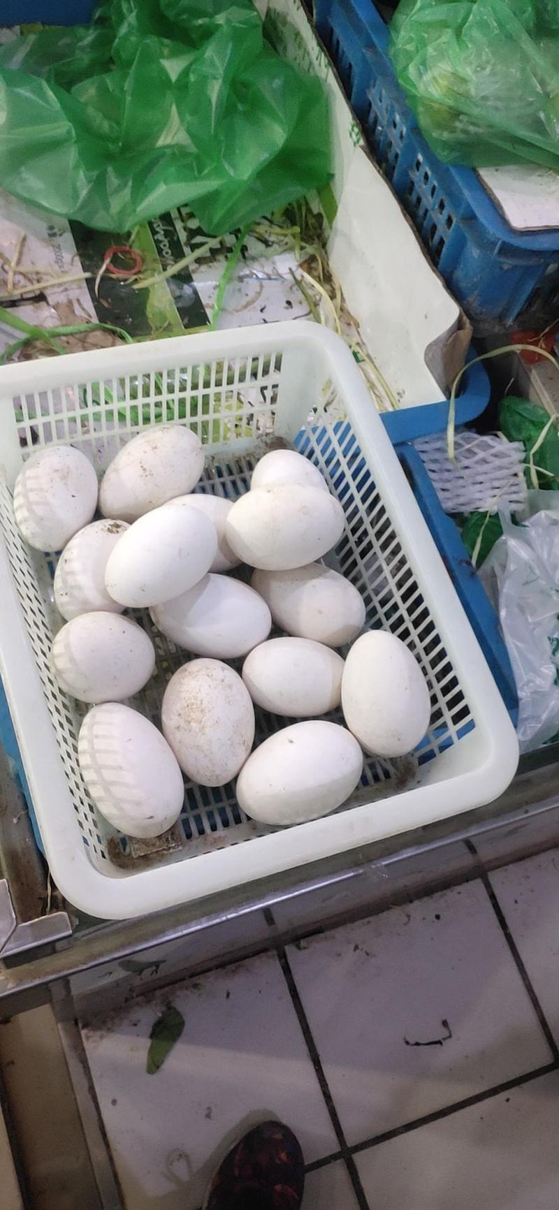 鹅蛋鲜鹅蛋散养土鹅蛋超市菜场禽蛋批发部量大从优