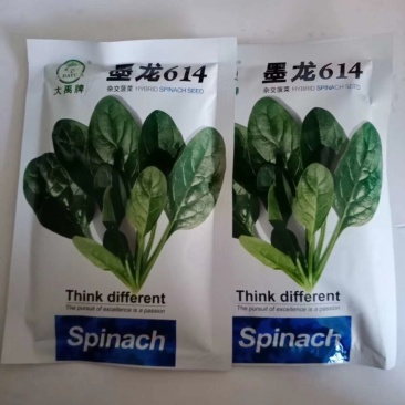 菠菜种子圆叶墨绿色一代杂交品种耐寒能力强品种种子