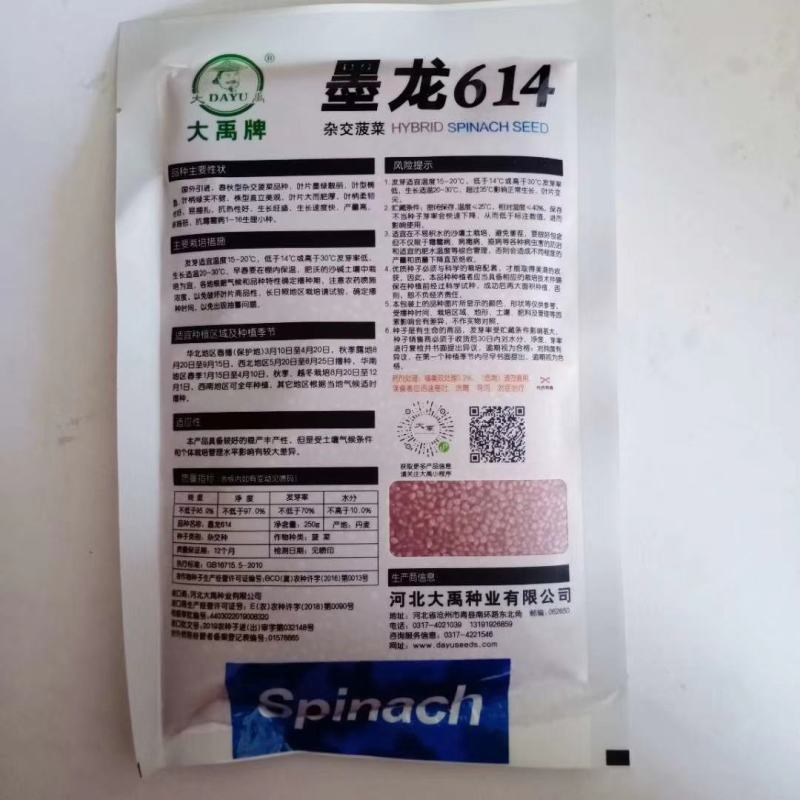 菠菜种子圆叶墨绿色一代杂交品种耐寒能力强品种种子