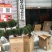 四川“夏禹林”曼地亚红豆杉小苗，基地发货量大价更优。