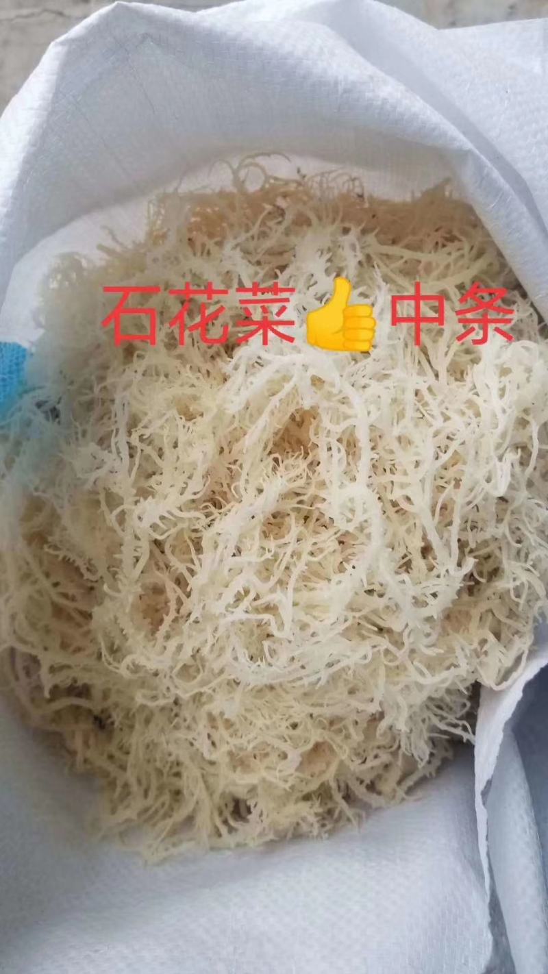 石花菜（龙须菜鹿角菜）。。。。。。。。
