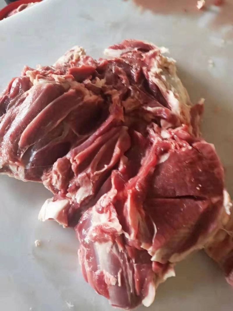 羊肉，去骨羊后腿净肉，纯干纯瘦，全部鲜羊分割量大从优