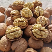 核桃新疆薄皮核桃，新疆核桃厂家发货货源充足