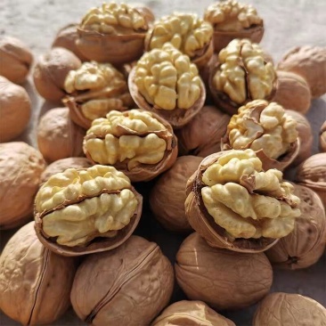 核桃新疆薄皮核桃，新疆核桃厂家发货货源充足