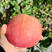 红富士苹果产地直供质量保证80起步精品大量供货！