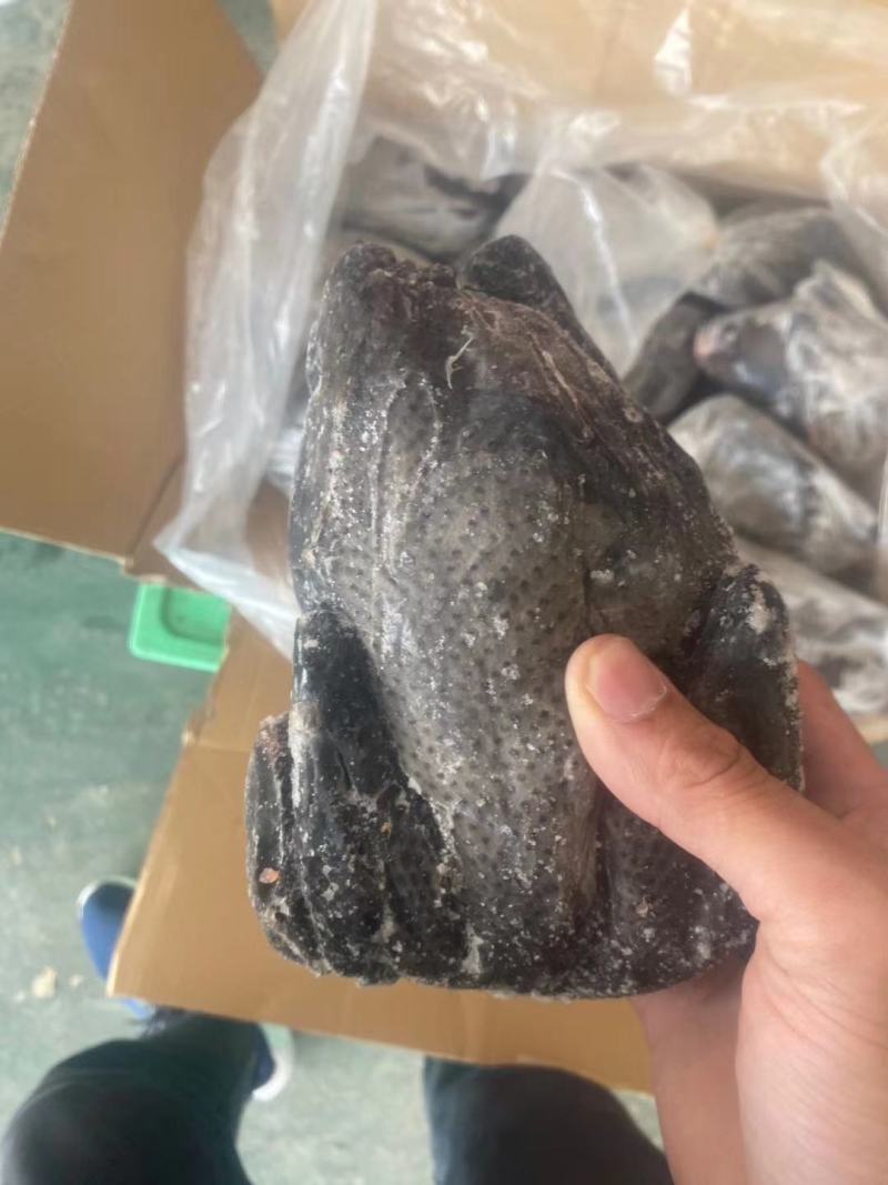 乌鸡，厂家直接发货价格美丽，长期有货，半净膛，全净膛