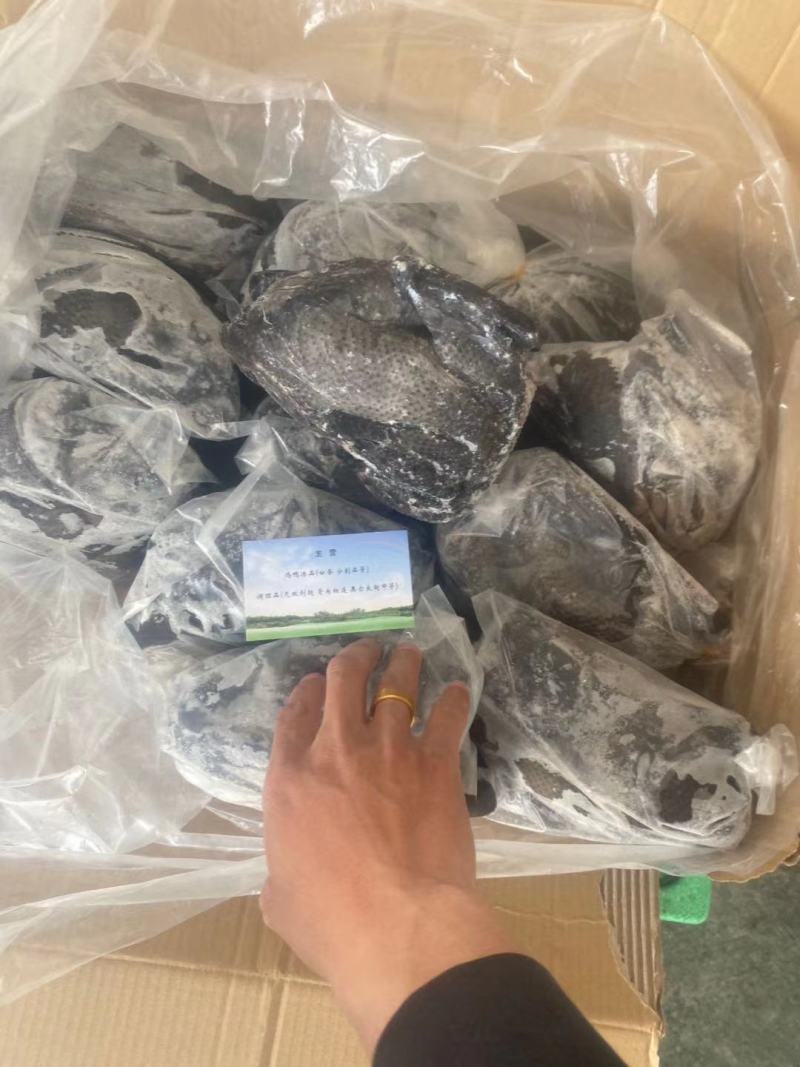 乌鸡，厂家直接发货价格美丽，长期有货，半净膛，全净膛