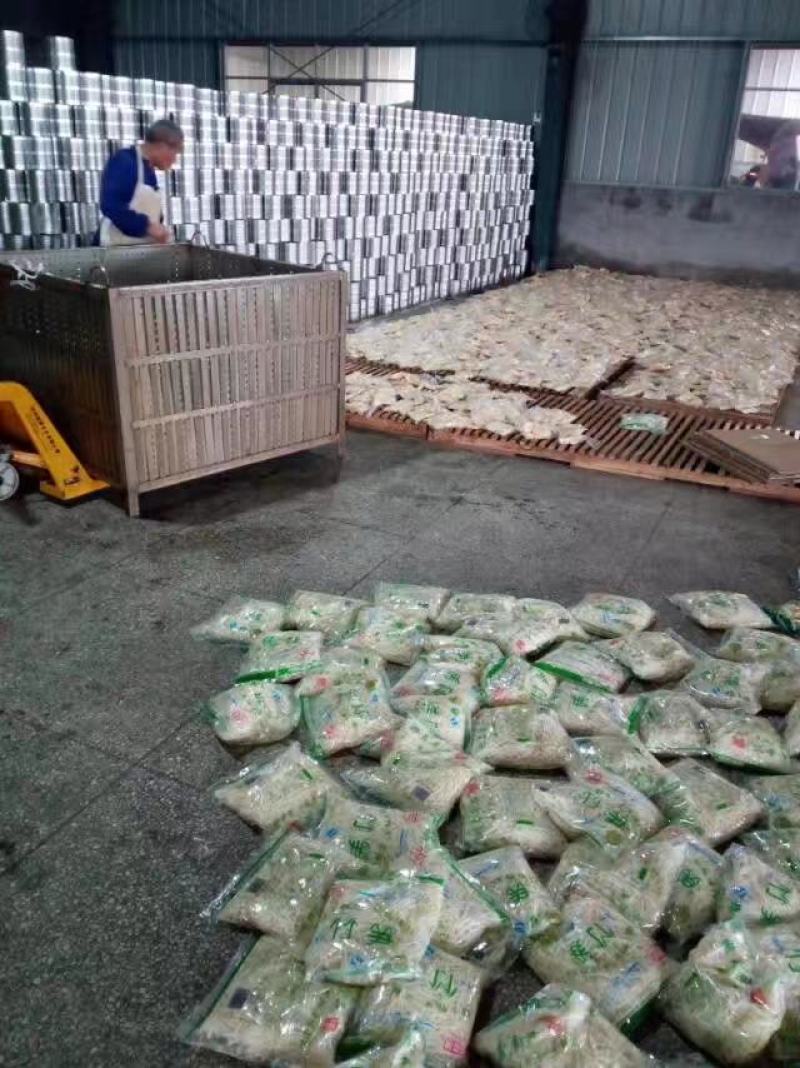 清水笋丝2500克一袋鲜嫩脆爽新鲜竹笋新鲜竹笋