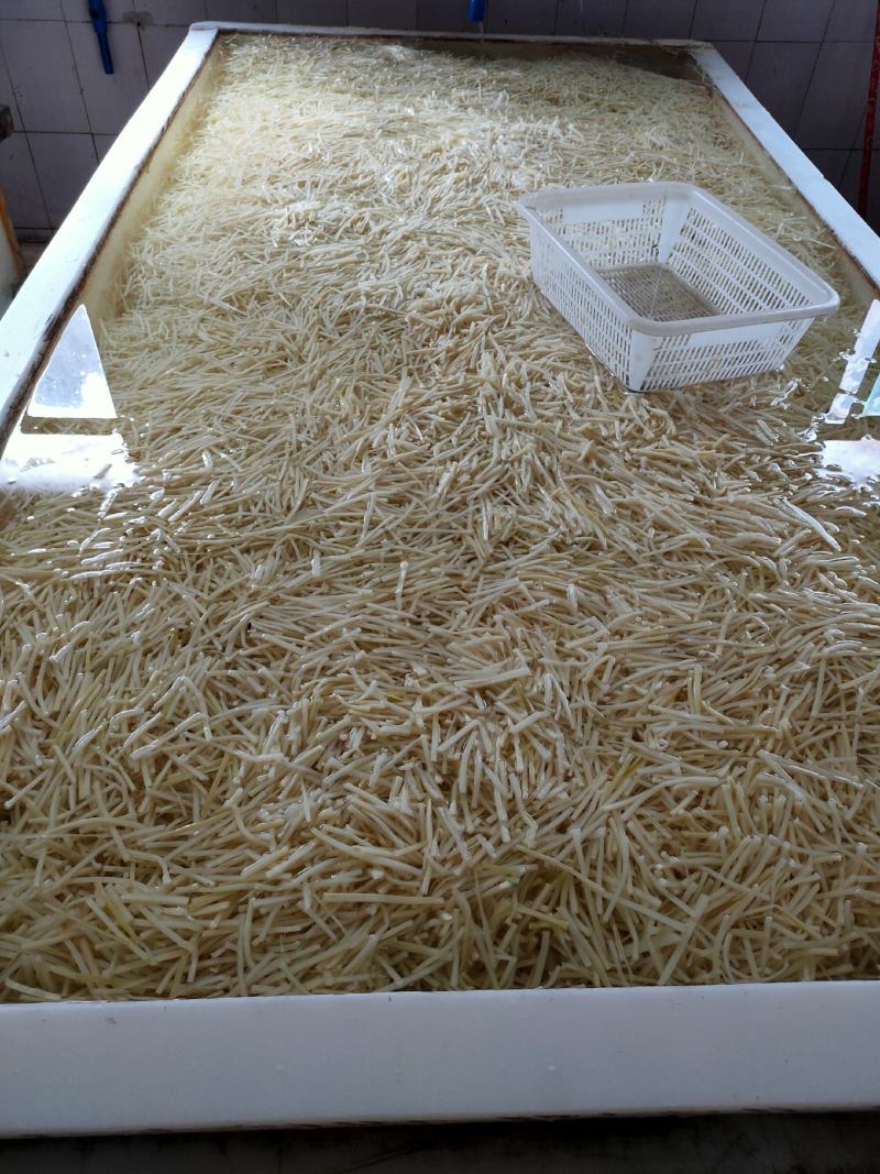 清水笋丝2500克一袋鲜嫩脆爽新鲜竹笋新鲜竹笋