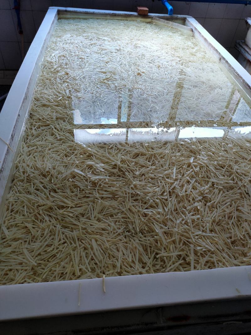 清水笋丝2500克一袋鲜嫩脆爽新鲜竹笋新鲜竹笋