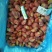 金枪龙虾尾，标准特级，肉质Q弹