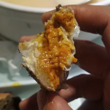 洪泽湖大闸蟹精品螃蟹