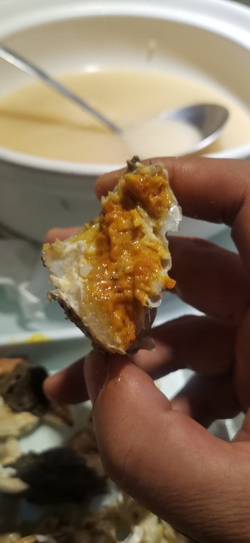 洪泽湖大闸蟹精品螃蟹