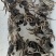 洪泽湖大闸蟹精品螃蟹