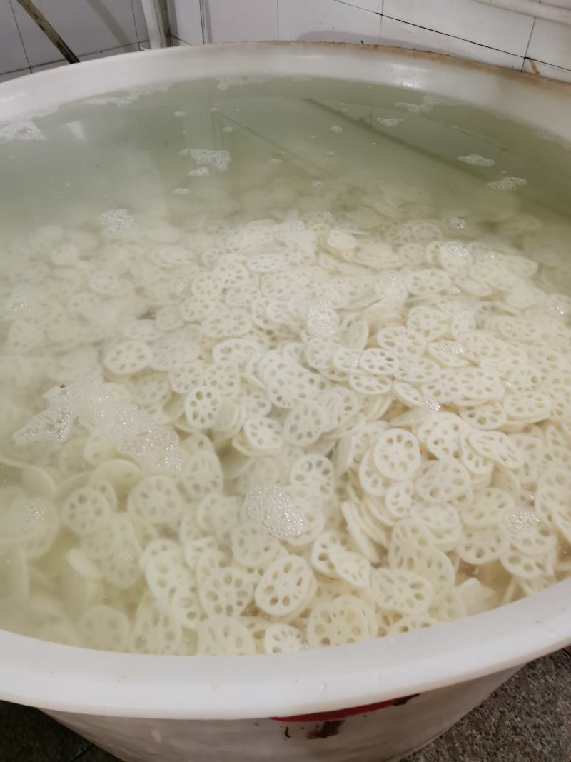 江苏宝应县罐头藕美人红莲藕，肉白，粉汁大，食品加工理想原材