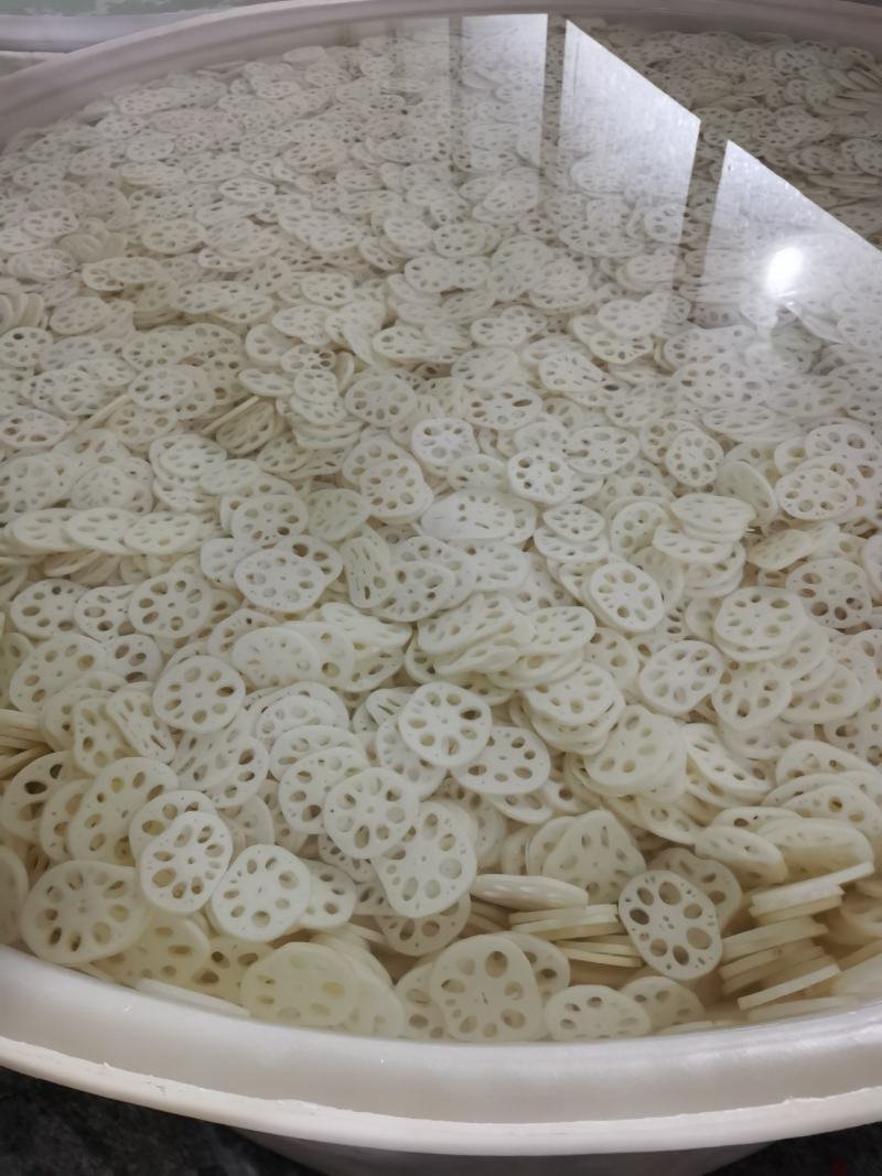 江苏宝应县罐头藕美人红莲藕，肉白，粉汁大，食品加工理想原材