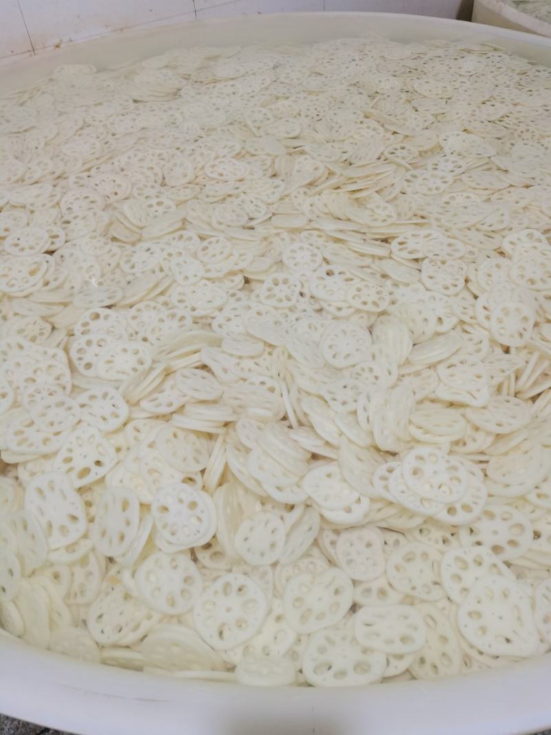 江苏宝应县罐头藕美人红莲藕，肉白，粉汁大，食品加工理想原材