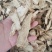 当归无硫包邮地道药材各种规格一手货源