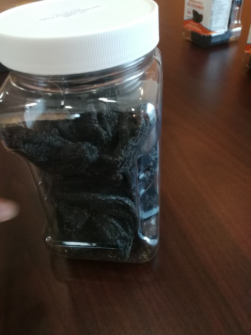 加拿大海参，大西洋捕捞。