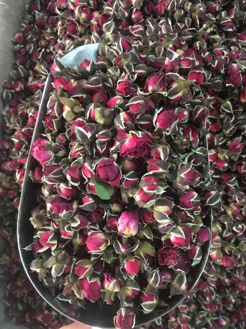 金边玫瑰【包邮】三斤起发货可批量可零售量大从优