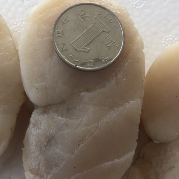 新鲜瑶柱带子丁冰鲜500g