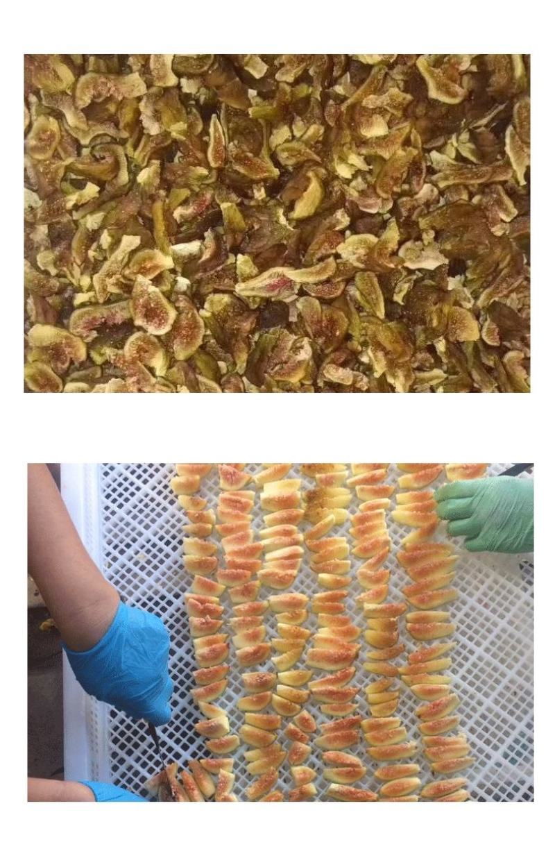 [热卖]山东烟台无花果干果干产地直发专业代办