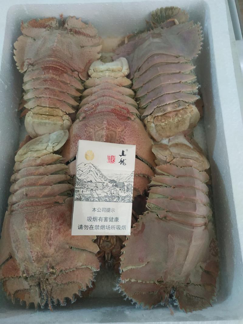 深海琵琶虾，美食精品一箱4斤净重全国包邮，支持一件代发