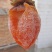 正宗霜降柿饼吊柿饼非富平柿饼一件代发批发零售质量保障
